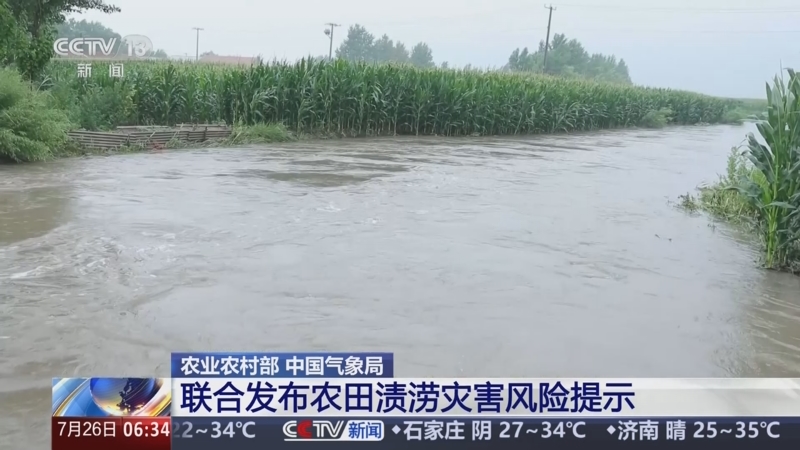 [朝聞天下]農業農村部_中國氣象局_聯合發布農田漬澇災害風險提示_2025-07-26_06_41_40.jpg